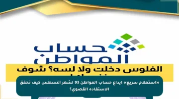 «استعلام سريع» إيداع حساب المواطن 93 لشهر أغسطس كيف تحقق الاستفادة القصوى؟